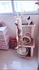 Perches Rattan SGS Cat Scratching Products