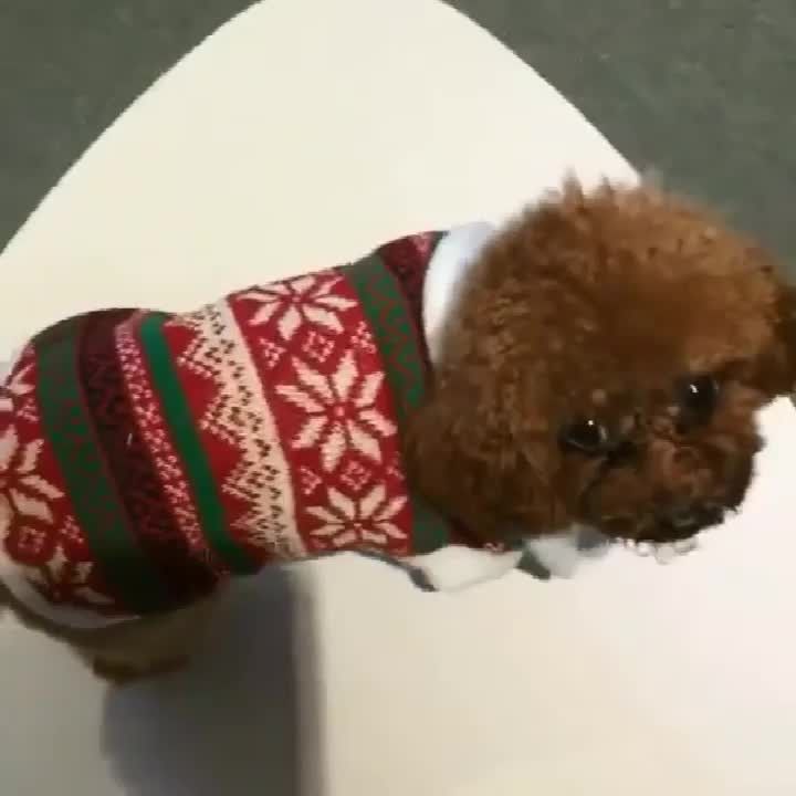35cm Sleeveless Soft Plush Dog Christmas Coat