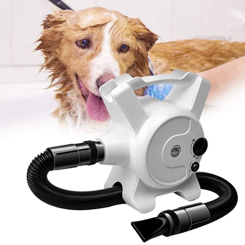 Pet Water ABS 220V Grooming Blow Dryer Machine